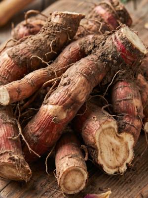 PEONY ROOT EXTRACT
